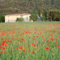 Tout naturellement, la ferme du désert Vaucluse