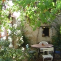 table-sous-treille table-sous-treille