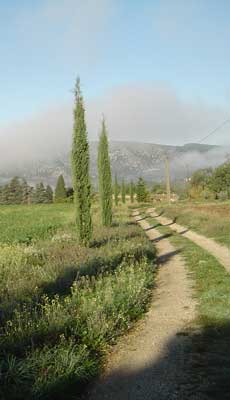 Chemin d'accès au Gite de la Ferme du Désert Vaucluse
